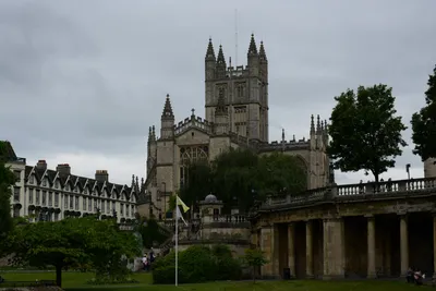 DSC_2582 (Large).JPG